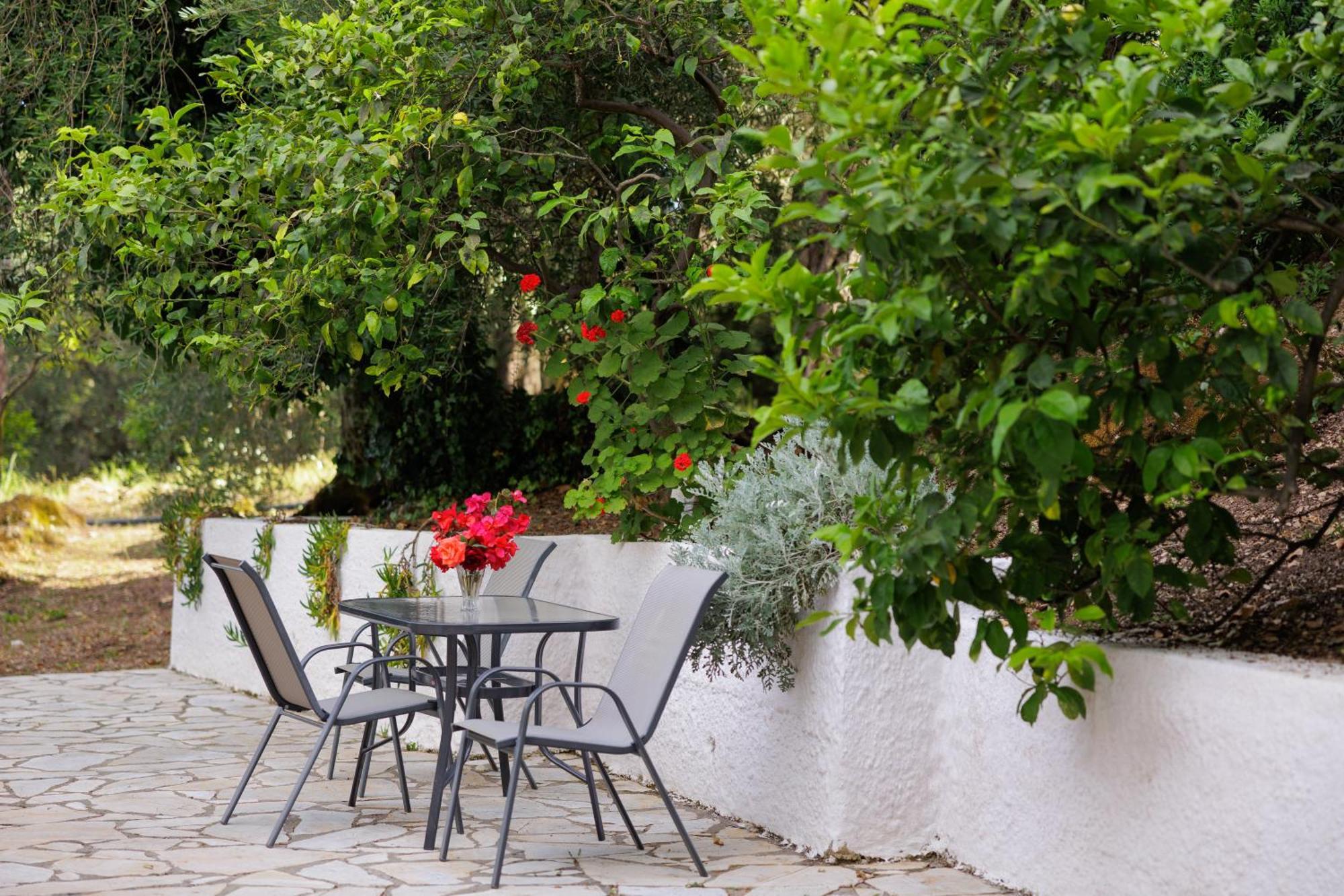 Santos Holidays Dassia  Ngoại thất bức ảnh