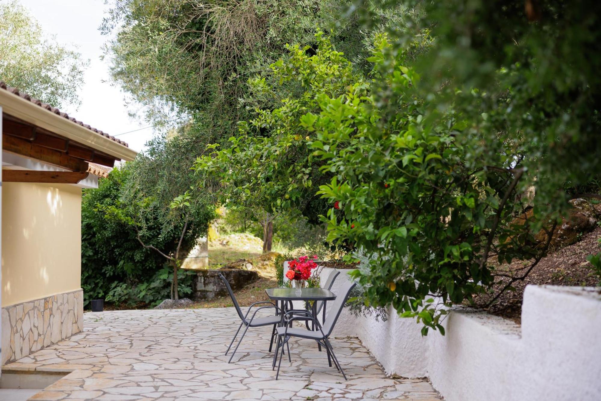 Santos Holidays Dassia  Ngoại thất bức ảnh